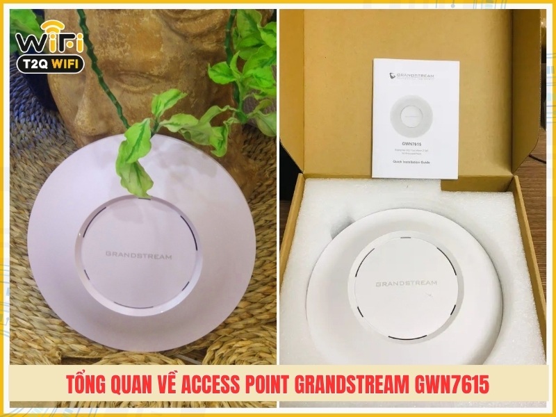 tổng quan về Access Point Grandstream GWN7615