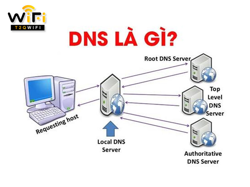 DNS la gi