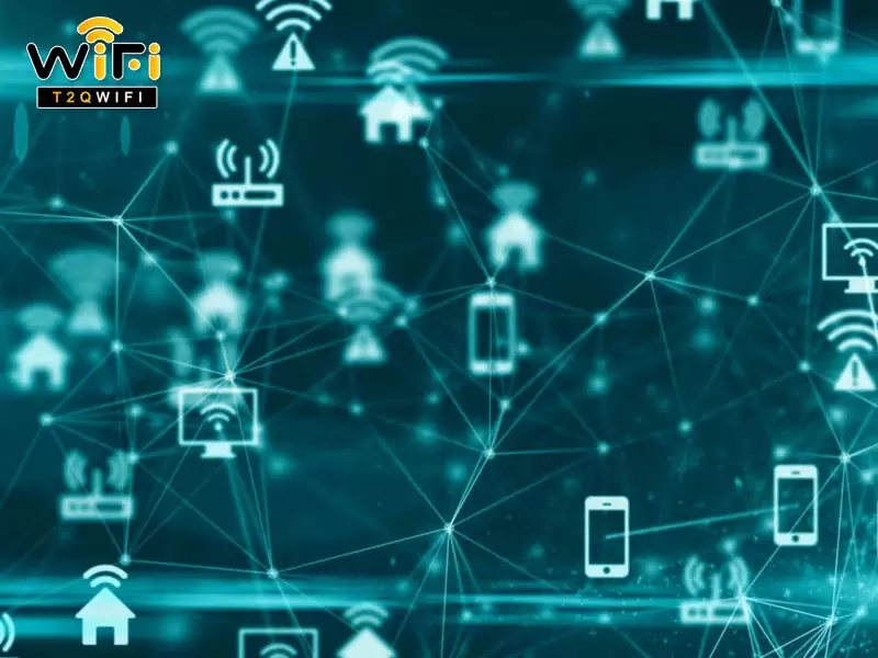 network la gi