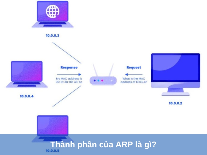 thanh phan cua arp