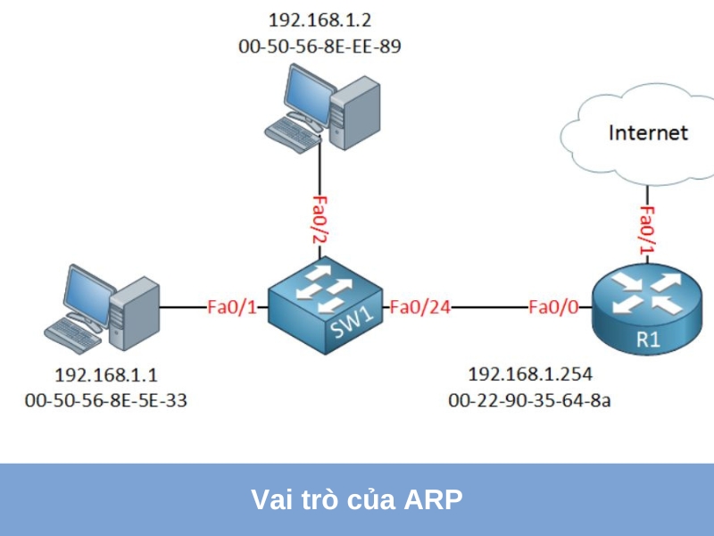 vai tro cua arp