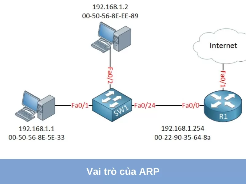 vai tro cua arp