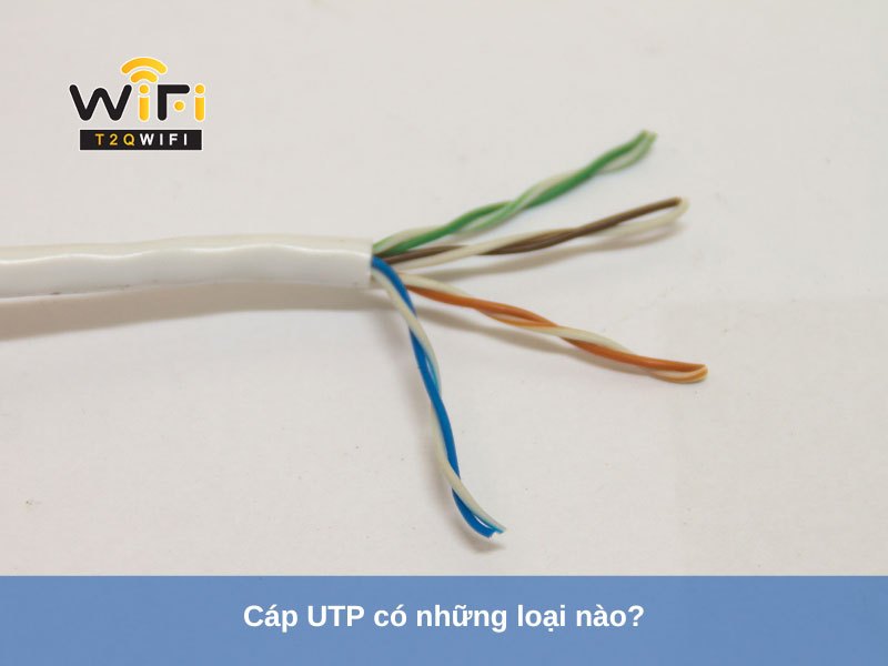 cap utp co nhung loai nao