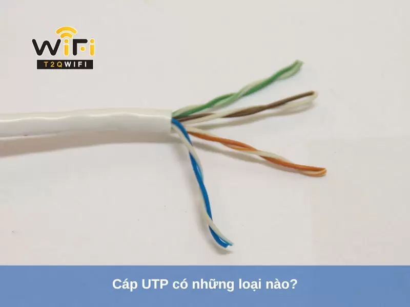 cap utp co nhung loai nao