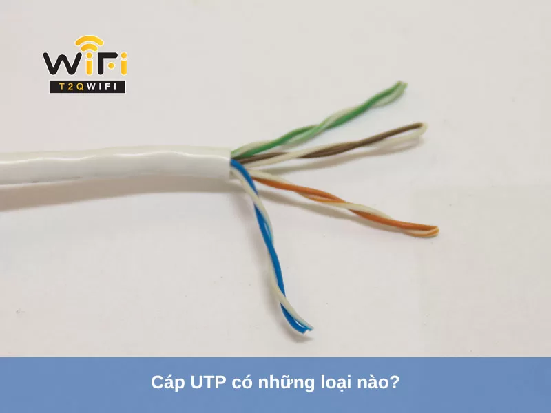 cap utp co nhung loai nao