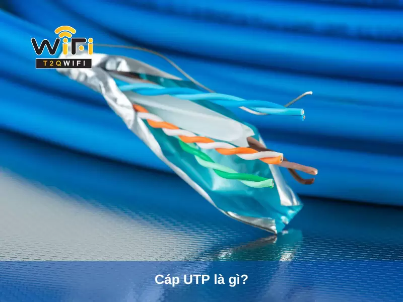 cap utp la gi