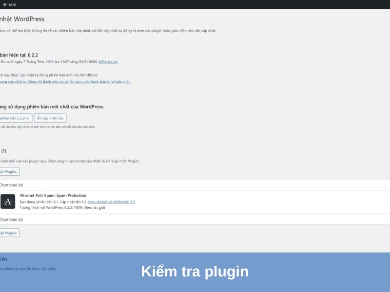 kiem tra plugin