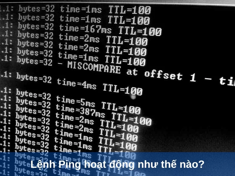 lenh ping hoat dong nhu the nao