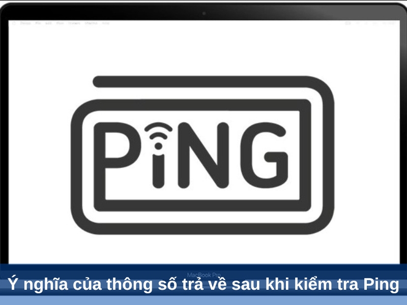 y nghia cua thong so tra ve sau khi kiem tra ping