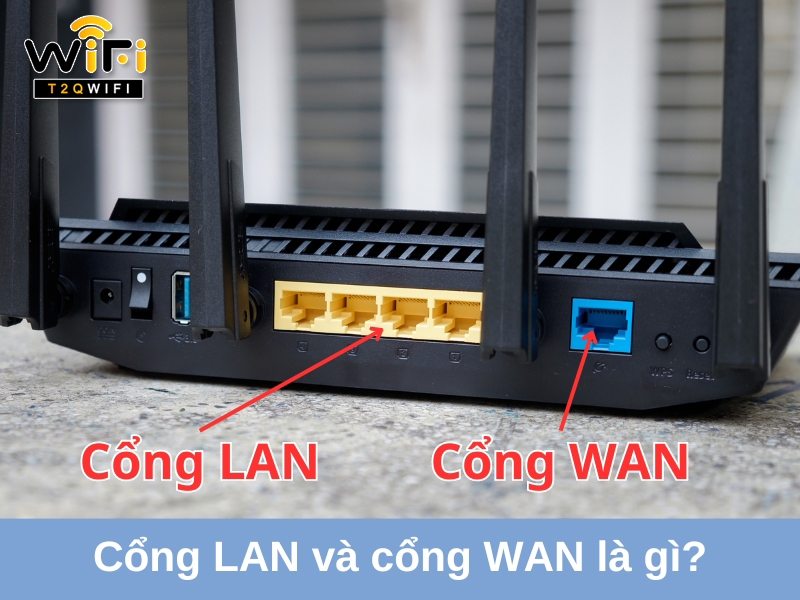 cong lan va cong wan la gi