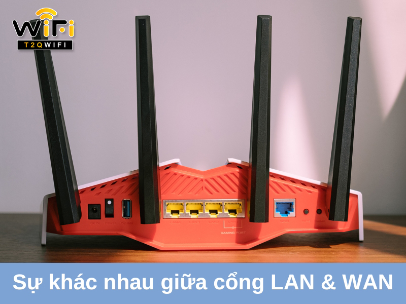 su khac nhau giua cong lan va cong wan