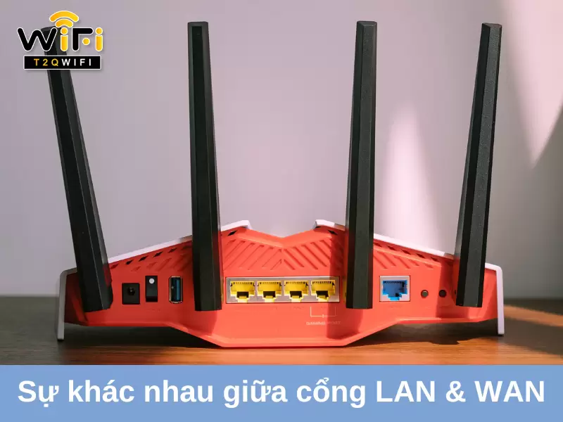 su khac nhau giua cong lan va cong wan