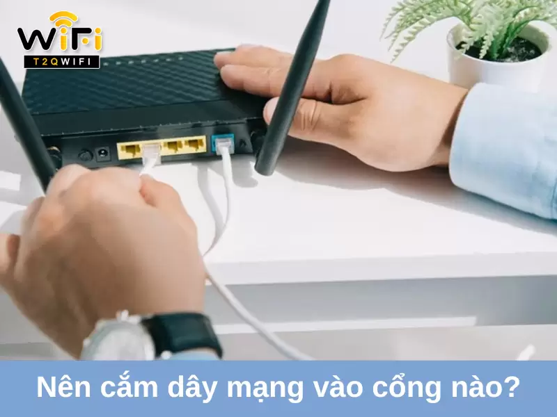nen cam day mang vao cong wan hay lan