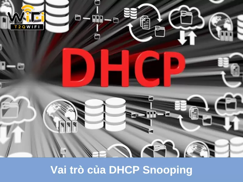 vai tro cua dhcp snooping trong bao mat mang