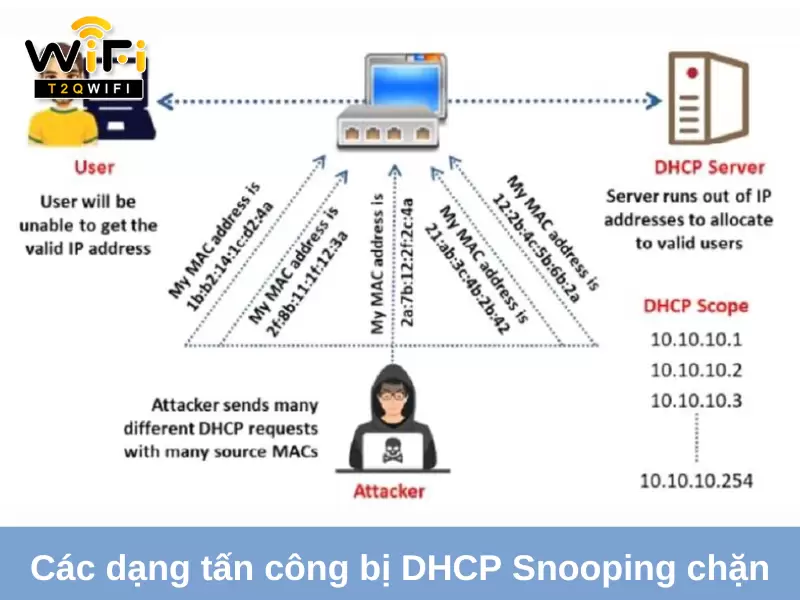 cac dang tan cong nao bi dhcp snooping chan