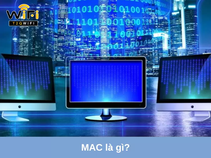 mac la gi