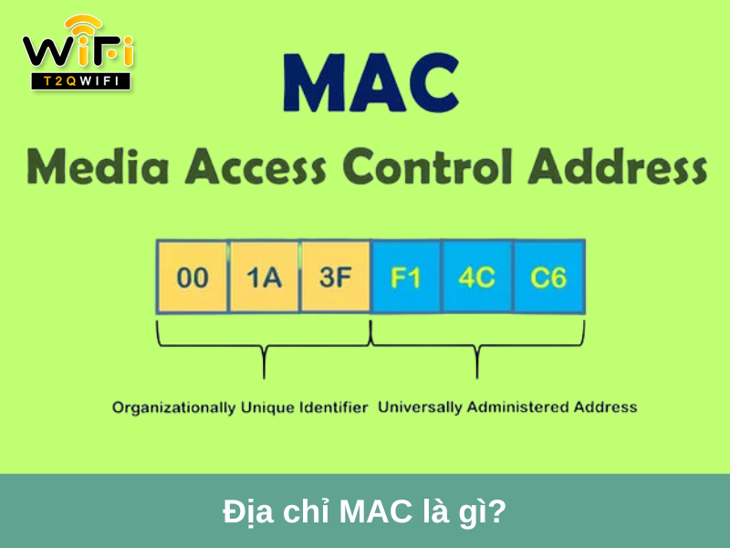 dia chi mac la gi