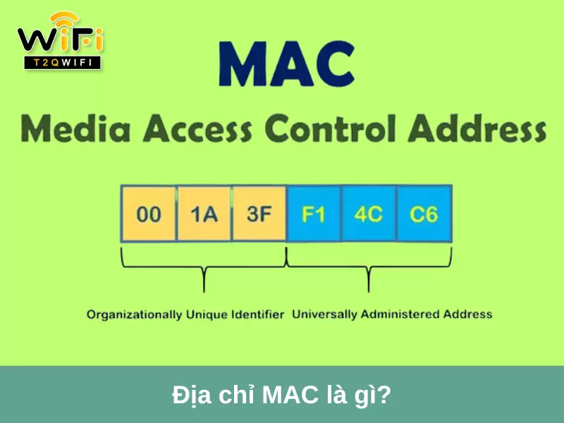 dia chi mac la gi