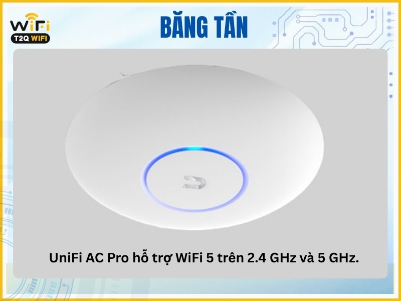 Bang tan